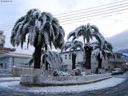 oui c blida